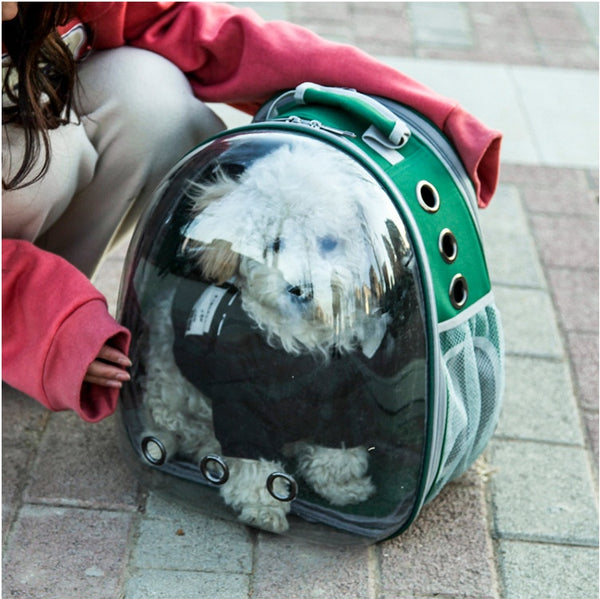 Cat backpack transparent space capsule